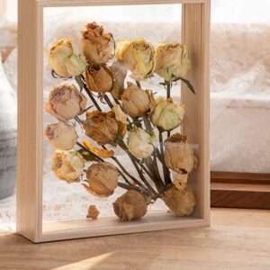 Wooden Dried Flower Photo Frame Dried Flower Display Stand Decorative Floating Photo Frame（8 * 12''- primary colo