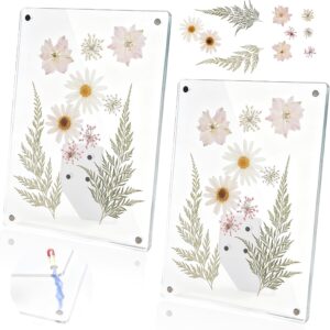 Clear Acrylic Magnetic Pressed Flower Frame, Double Panel Floating Frame for Dried Flower Display, Easy-Open Magnetic Acrylic for DIY Art, Home & Office Wall Décor Gift (Transparent 2Pcs, 4X6in)