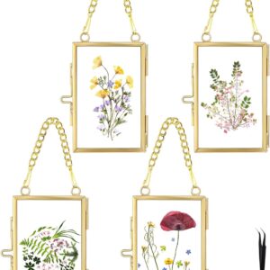 4 Pcs Pressed Flower Frame with Tweezers, Wall Hanging Tabletop Display Double Glass Frames with Metal Chain for Pressed Dried Flowers Plants, Horizontal and Vertical Picture Frame, Gold, FRAMES ONLY