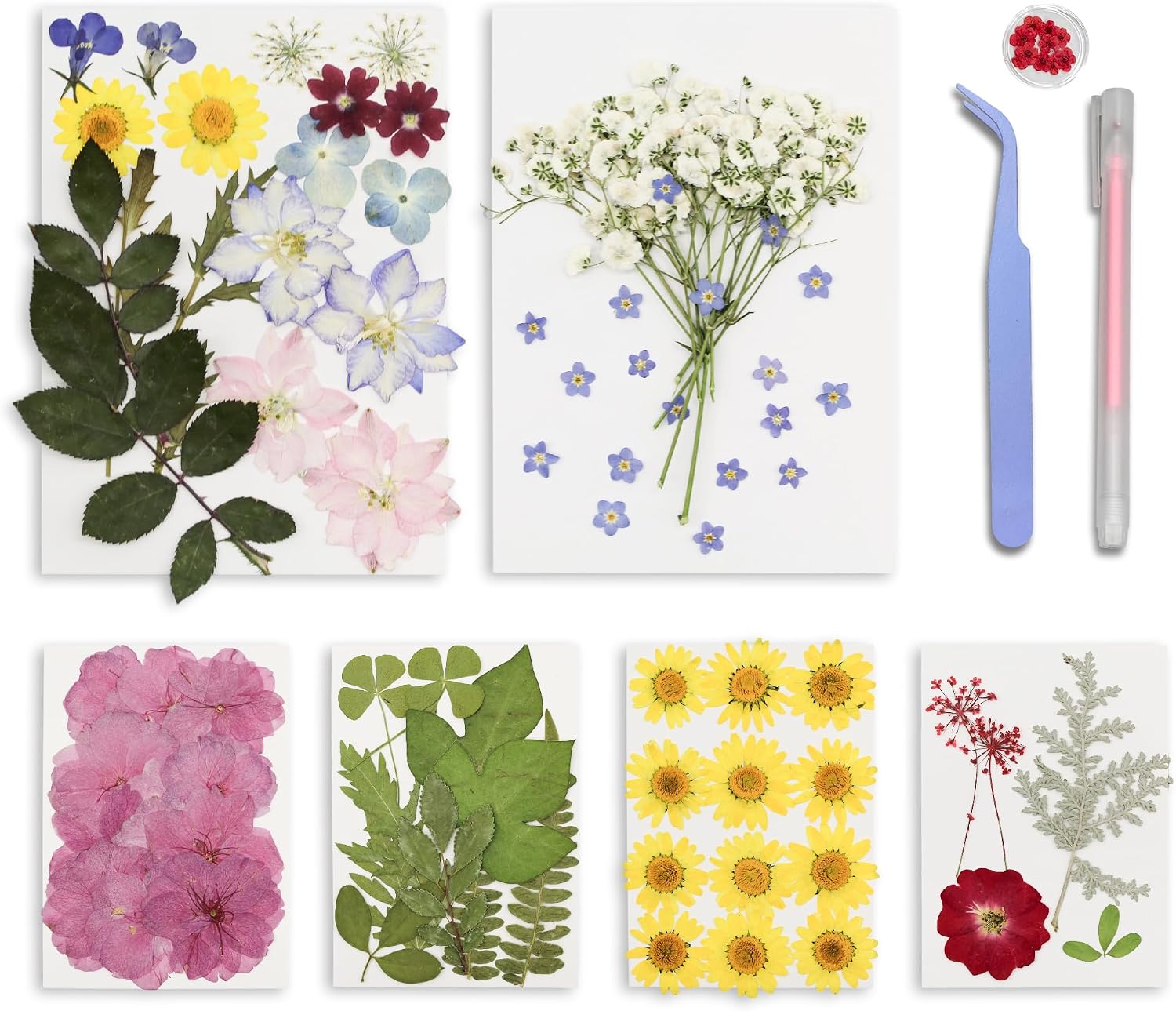95PCS Real Natural Dried Pressed Flowers and Leaves Craft Kit with Tweezers & Glue Pen for Resin, Scrapbooking, Card Making & DIY Crafts