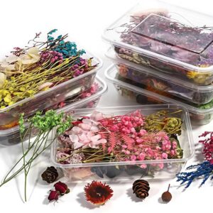 Dried Flower 2 Box DIY Natural Dried Flowers for Crafts Candles Resin Card