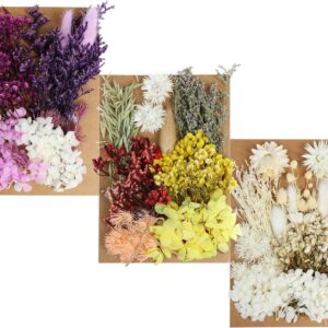 131pcs DIY Dried Flowers Daisies Leaves, Hydrangeas, Multiple Natural Pressed Flowers Colorful Decorative Dried Flowers for DIY Craft (Color 1)