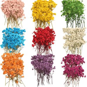 9 Pack Dried Flowers, Natural Pressed Flowers Kit for DIY Crafts, Scrapbook, Card Making,9 Colors